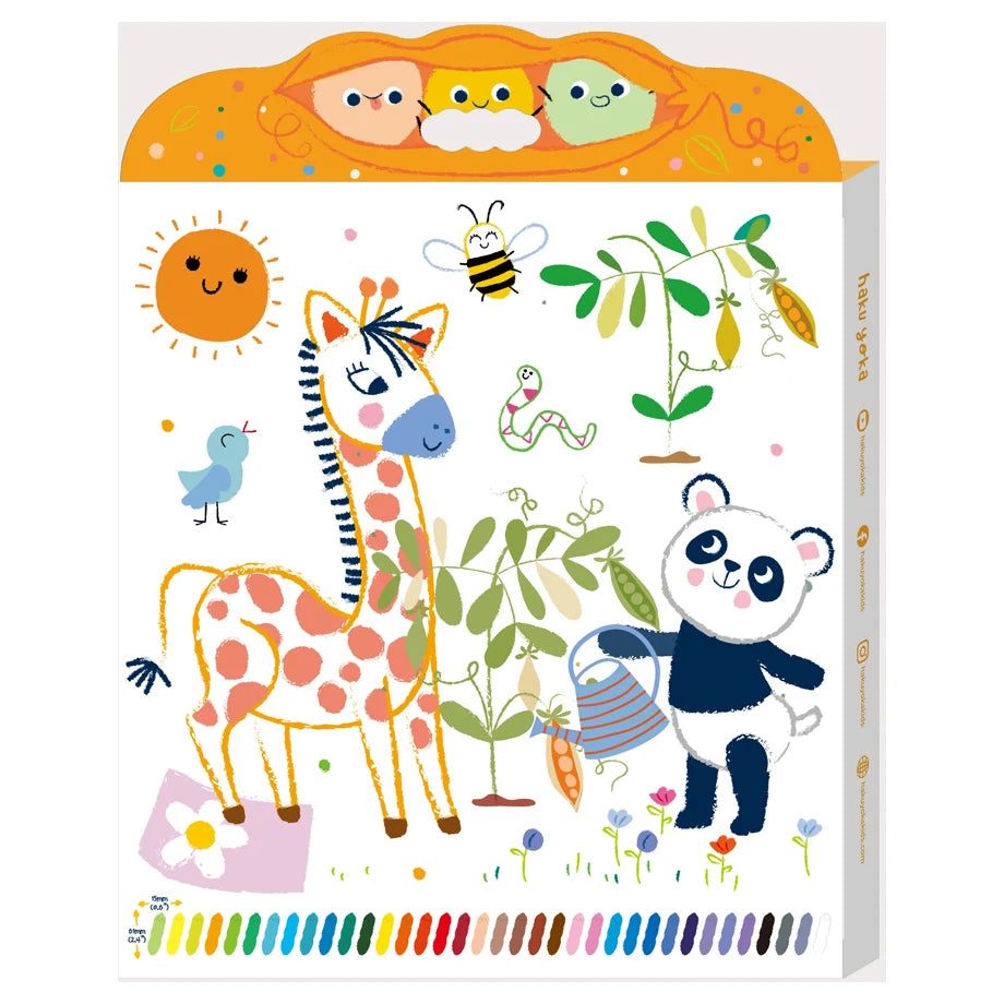 Haku Yoka Happy Pea Pod Crayons 36 Colours