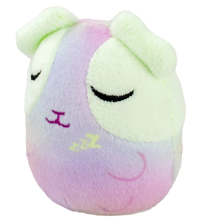 Eolo Cutie Pops Clip Pop And Connect - Five Cuties Blind Pack