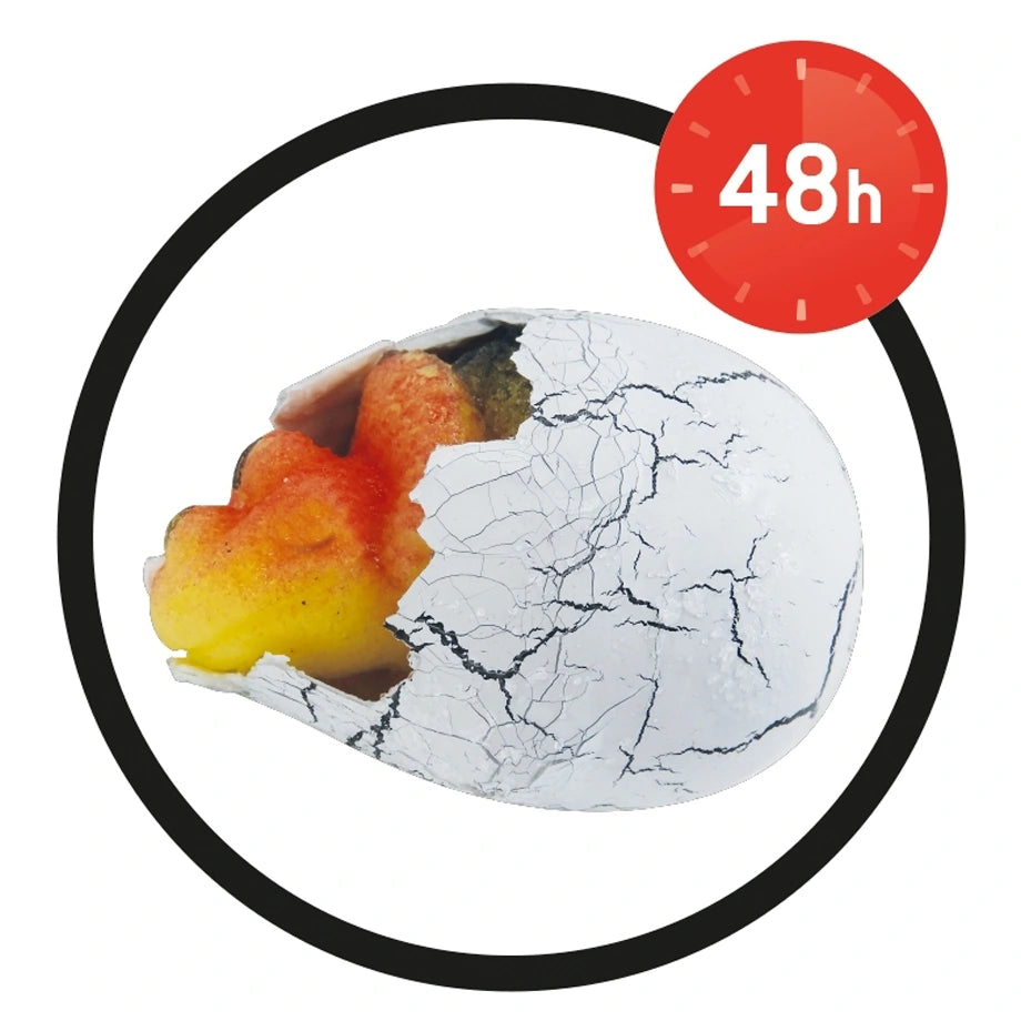 Buki France Dino Magic Egg