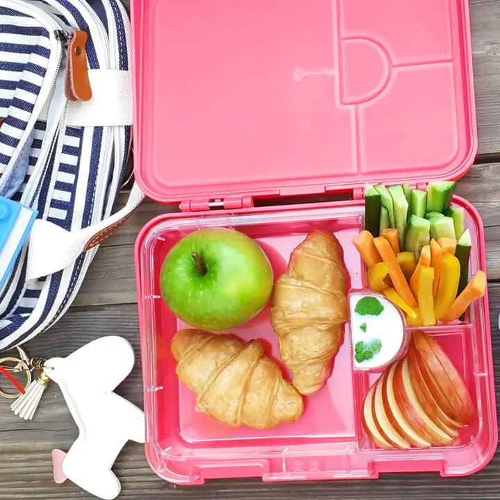 Eazy Kids 6 & 4 Convertible Bento Lunch Box Wit Sandwich Cutter Set (Pink)