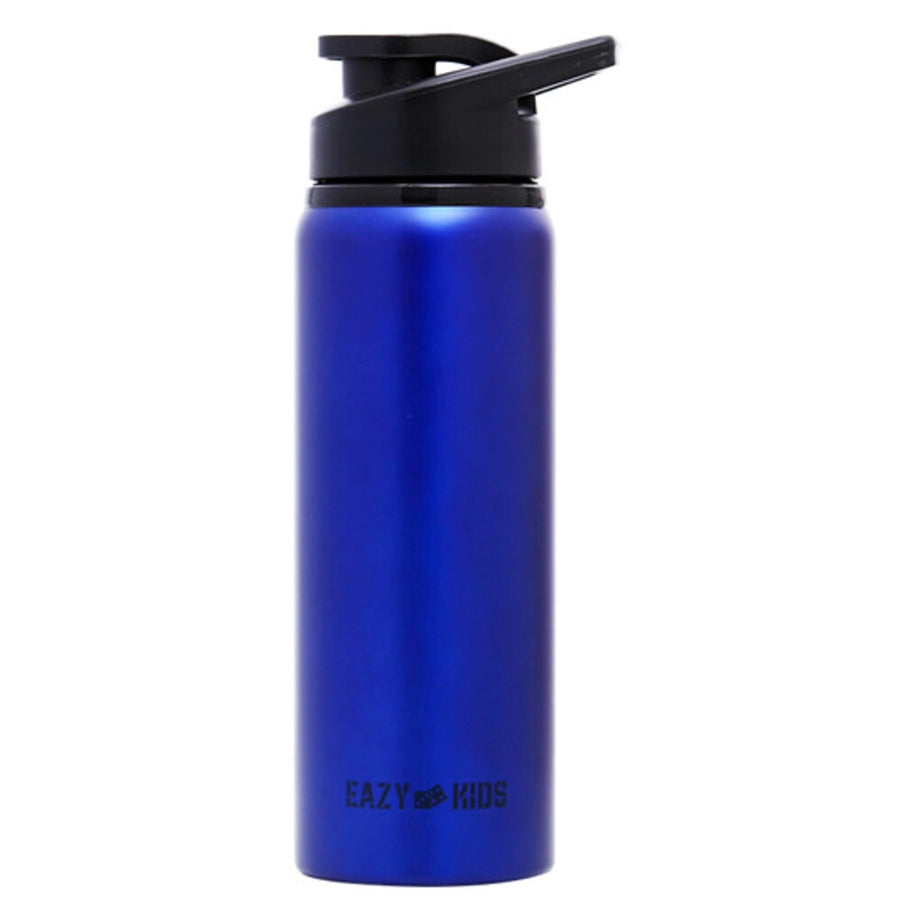 Eazy Kids Stainless Steel Sports Water Bottle 700ml (Blue)