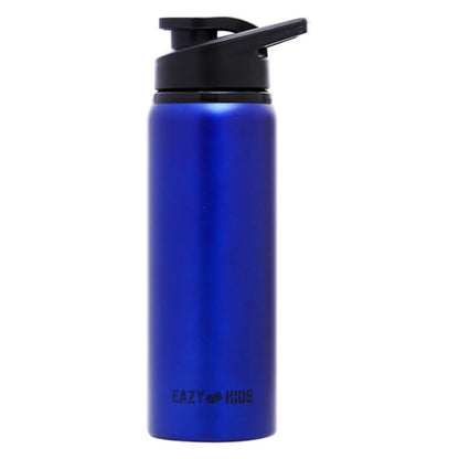 Eazy Kids Stainless Steel Sports Water Bottle 700ml (Blue)