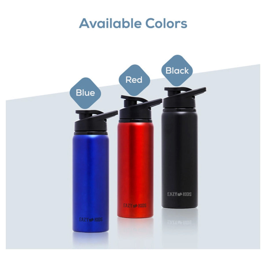 Eazy Kids Stainless Steel Sports Water Bottle 700ml (Blue)