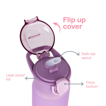 Eazy Kids Water Bottle 500ml w/ Handle (Purple)
