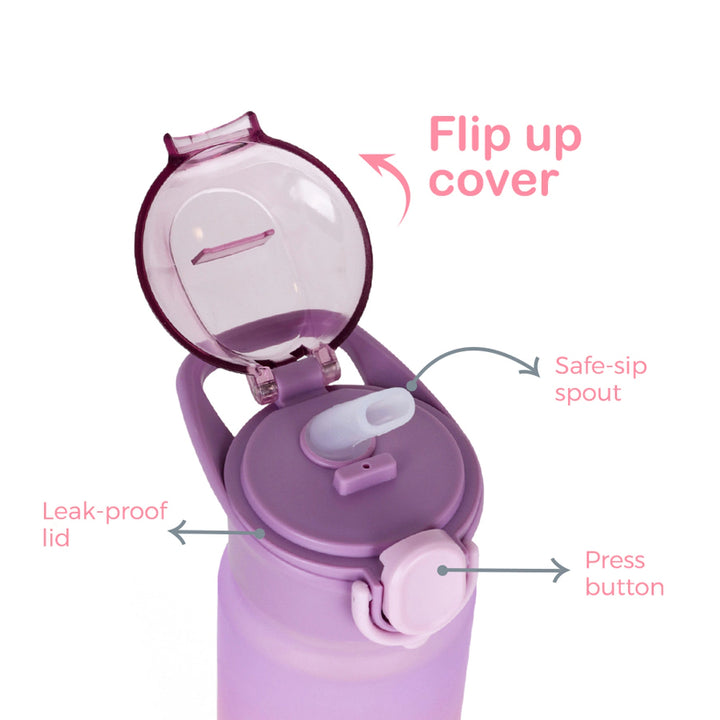 Eazy Kids Water Bottle 500ml w/ Handle (Purple)