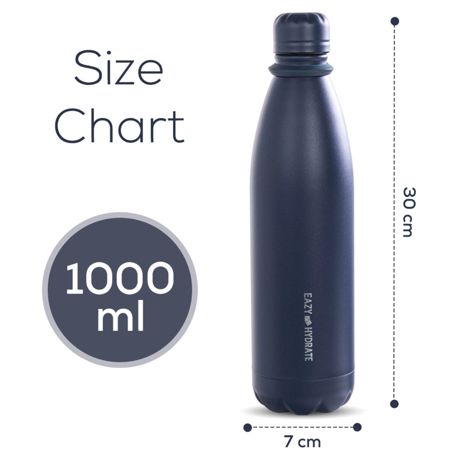 Eazy Kids Steel Water Bottle 1L (Blue)