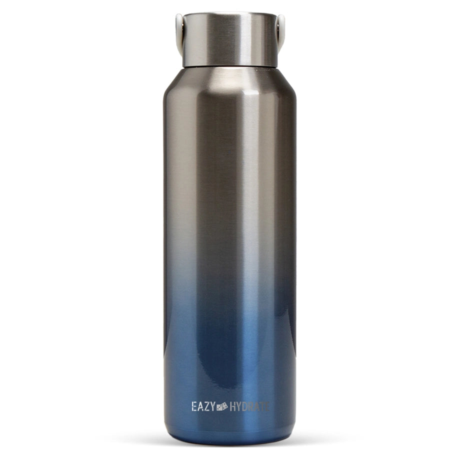 Eazy Kids Stainless Steel Water Bottle 710ml (Silver)
