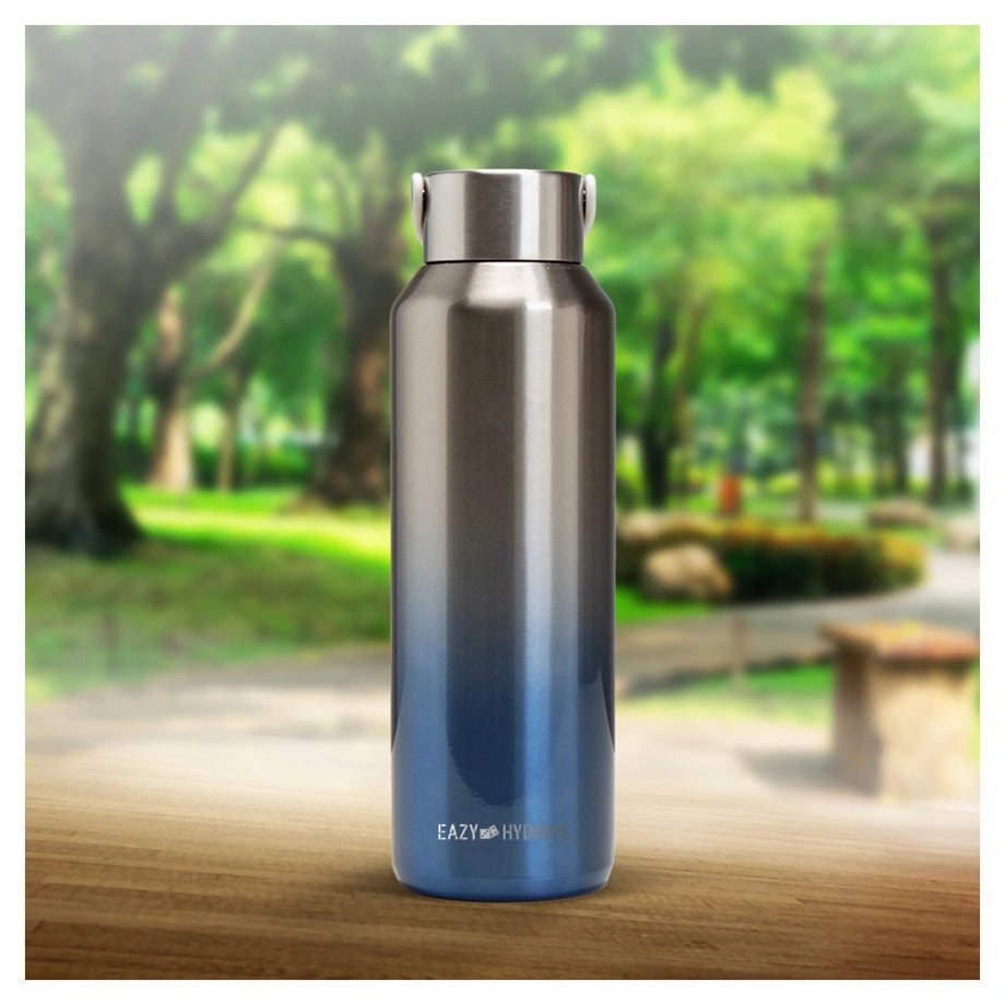 Eazy Kids Stainless Steel Water Bottle 710ml (Silver)