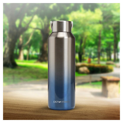 Eazy Kids Stainless Steel Water Bottle 710ml (Silver)
