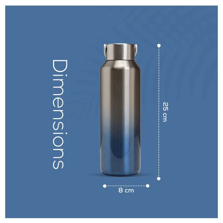 Eazy Kids Stainless Steel Water Bottle 710ml (Silver)