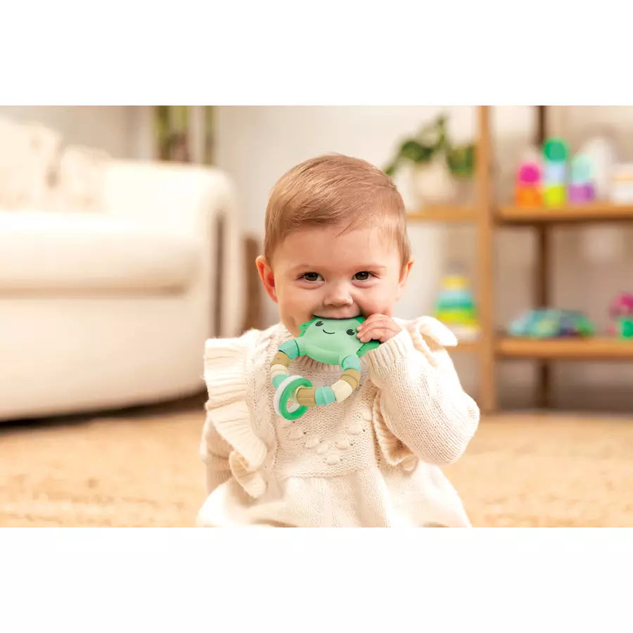 عضاضة إنفانتينو دينو عضاضة إنفانتينو دينو