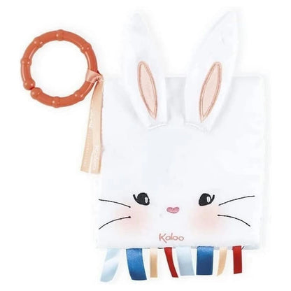 Kaloo Activity Book (The Rabbit in Love)