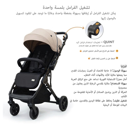 نيوبريز كوينت ريفيرسيبل ترافيل سترولير (بيج)