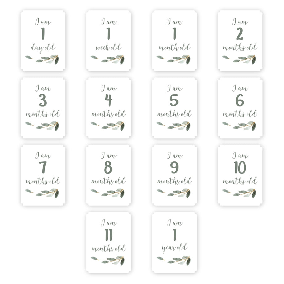 Lulujo Baby’s First Year™ Blanket & Cards Set (All You Need Is Love)