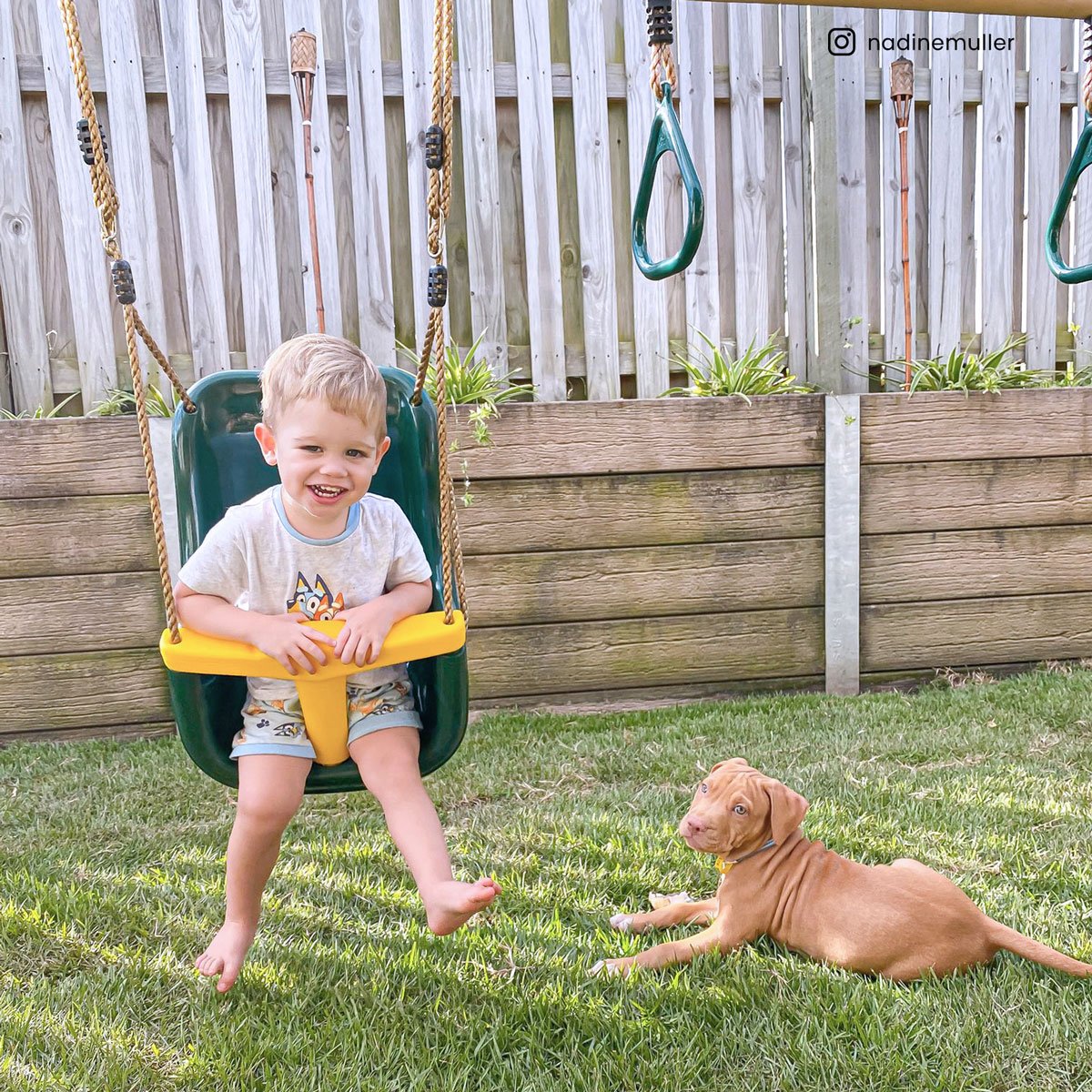 Dynamic Sports Gila Woodpecker Wooden Swing Set
