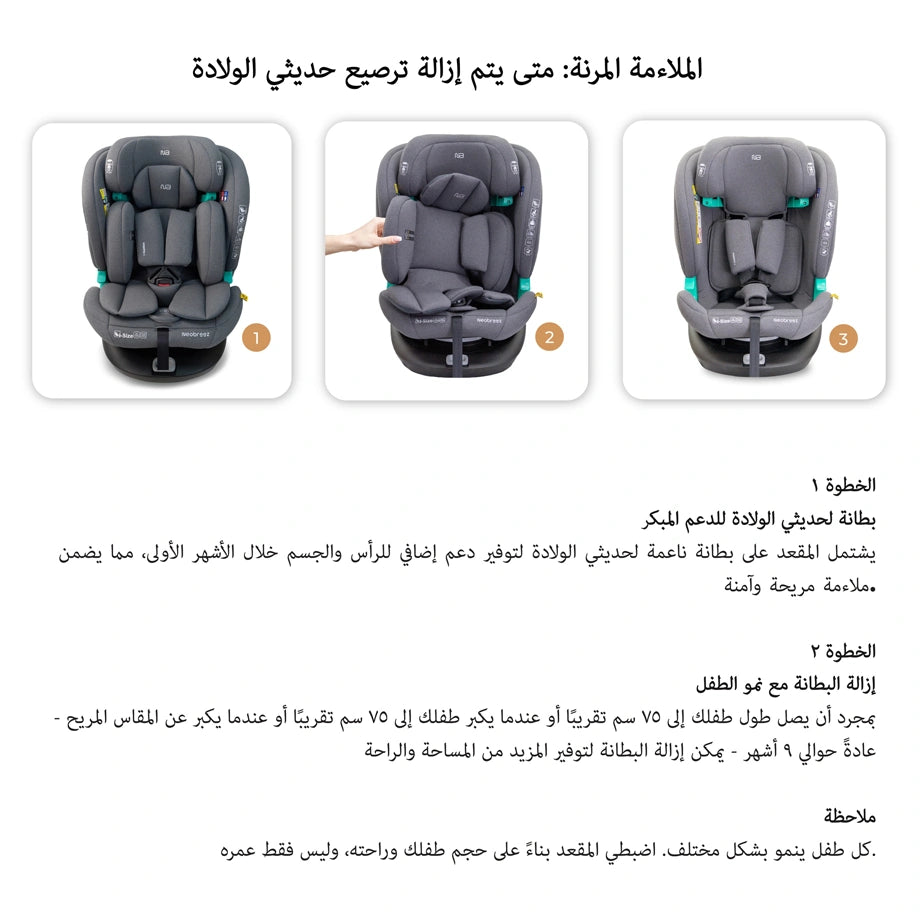نيوبريز آي جوارديا ٣٦٠ ° آيسوفيكس آيسايز كار سيت، ألين1 (رمادي)