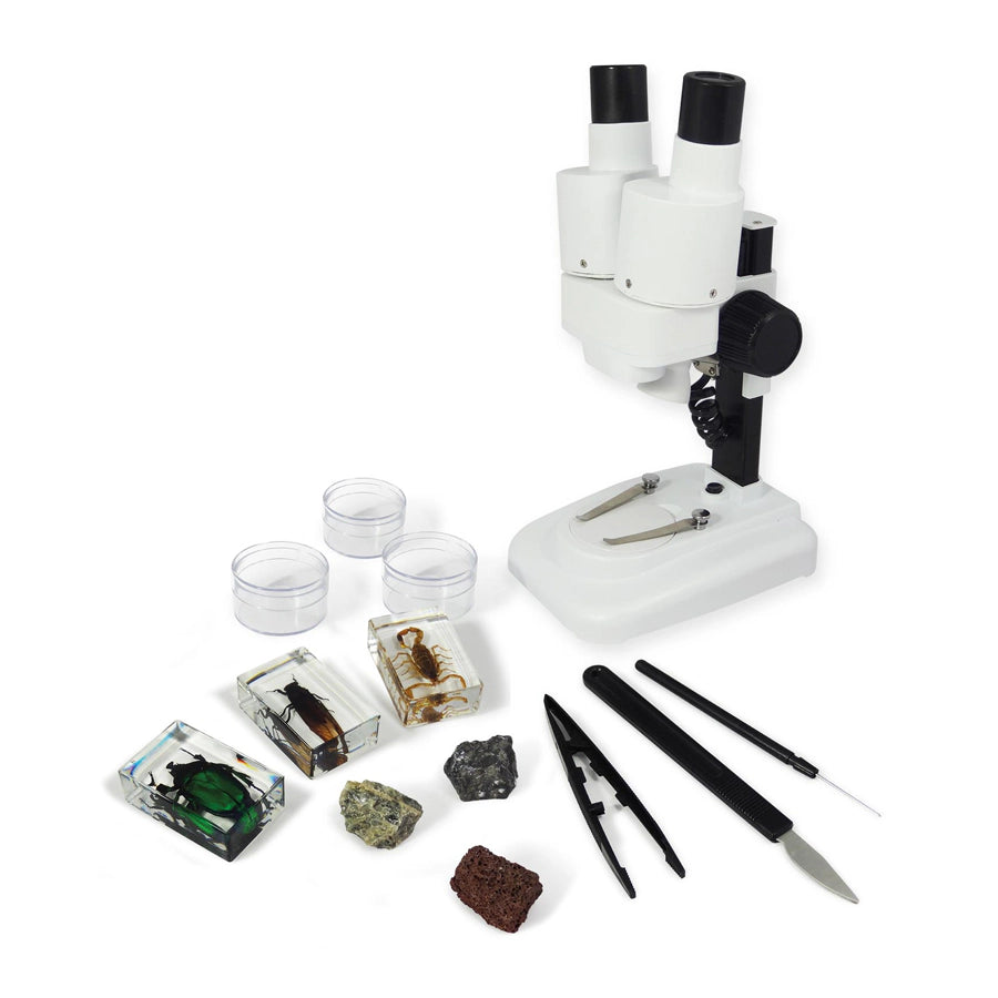 Buki France Binocular Microscope