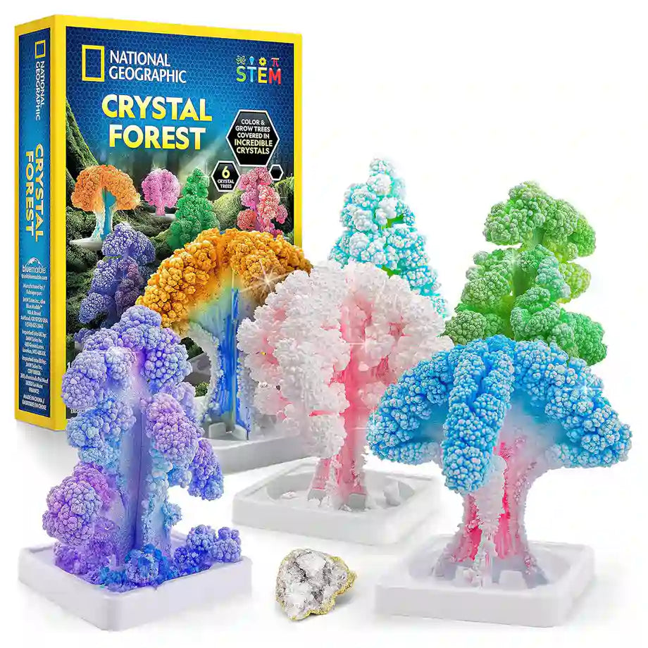 NG Crystal Forest