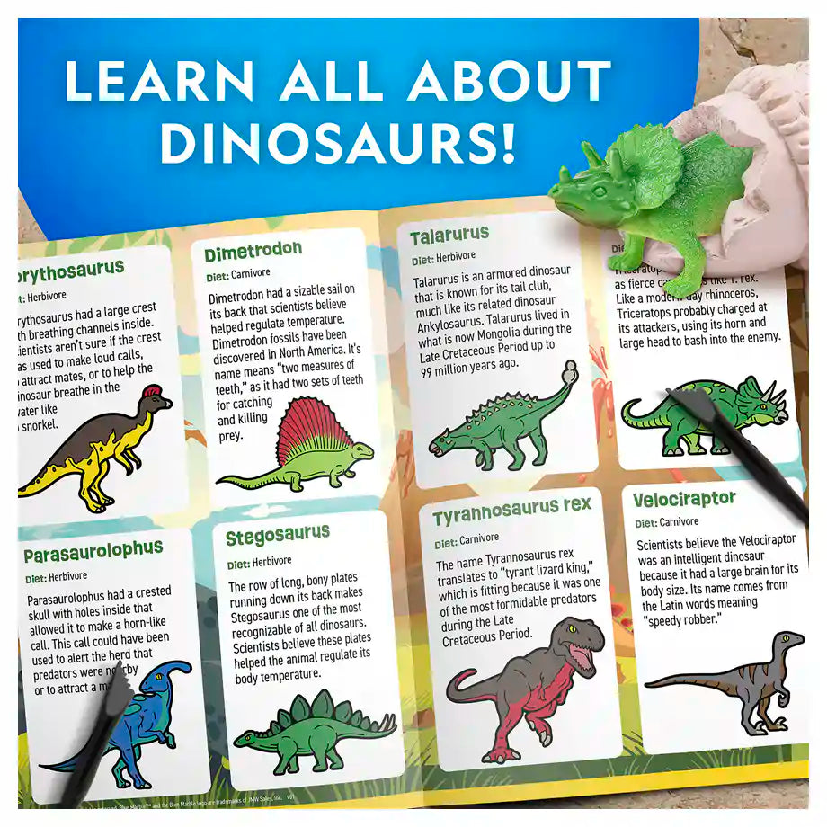 NG Dinosaur Egg Dig Kit -12 Pcs