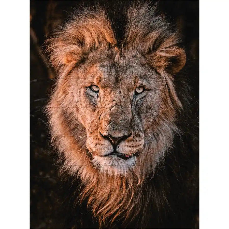 مجموعة ألغاز مصوري سفراء التجار، عبوة ثلاثية من 1000 قطعة - بويد 3 مجموعة ألغاز مصوري سفراء التجار، عبوة ثلاثية من 1000 قطعة - بويد 3