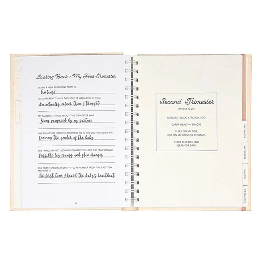 Pearhead Pregnancy Journal (Blush)