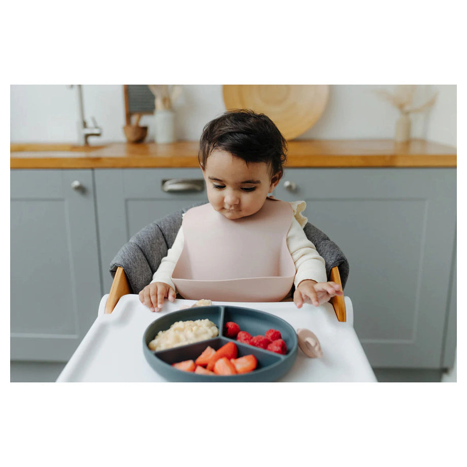 Pippeta Silicone Bib  (Ash Rose)