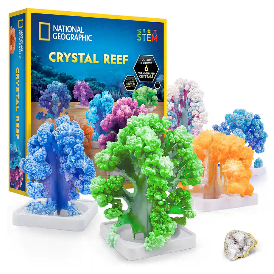 National Geographic Crystal Reef Coral Growing Lab