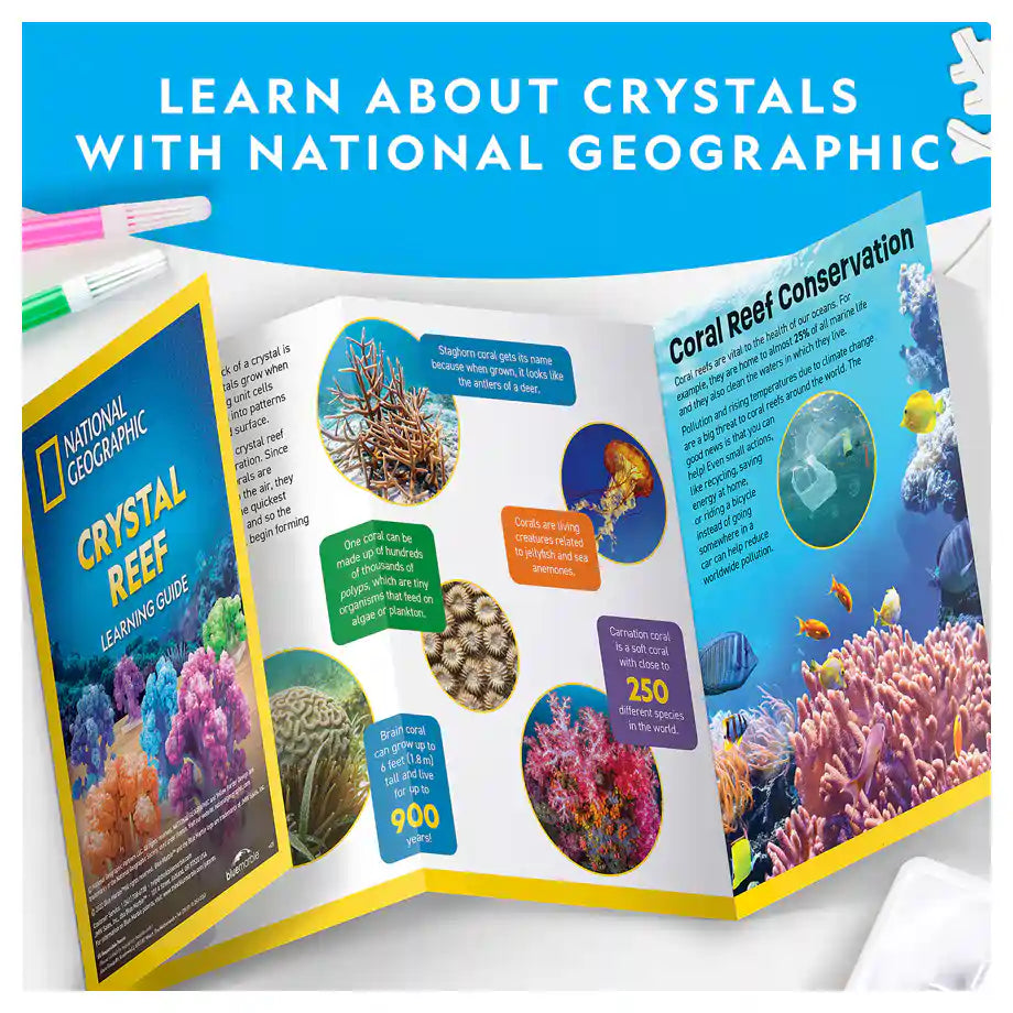 National Geographic Crystal Reef Coral Growing Lab