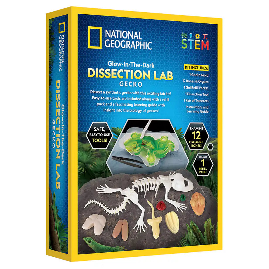 National Geographic Glow-In-The-Dark Gecko Dissection Lab