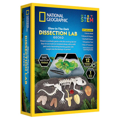 National Geographic Glow-In-The-Dark Gecko Dissection Lab