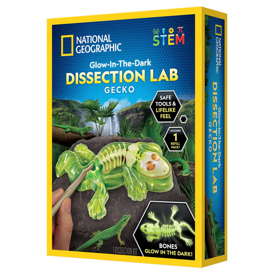 National Geographic Glow-In-The-Dark Gecko Dissection Lab