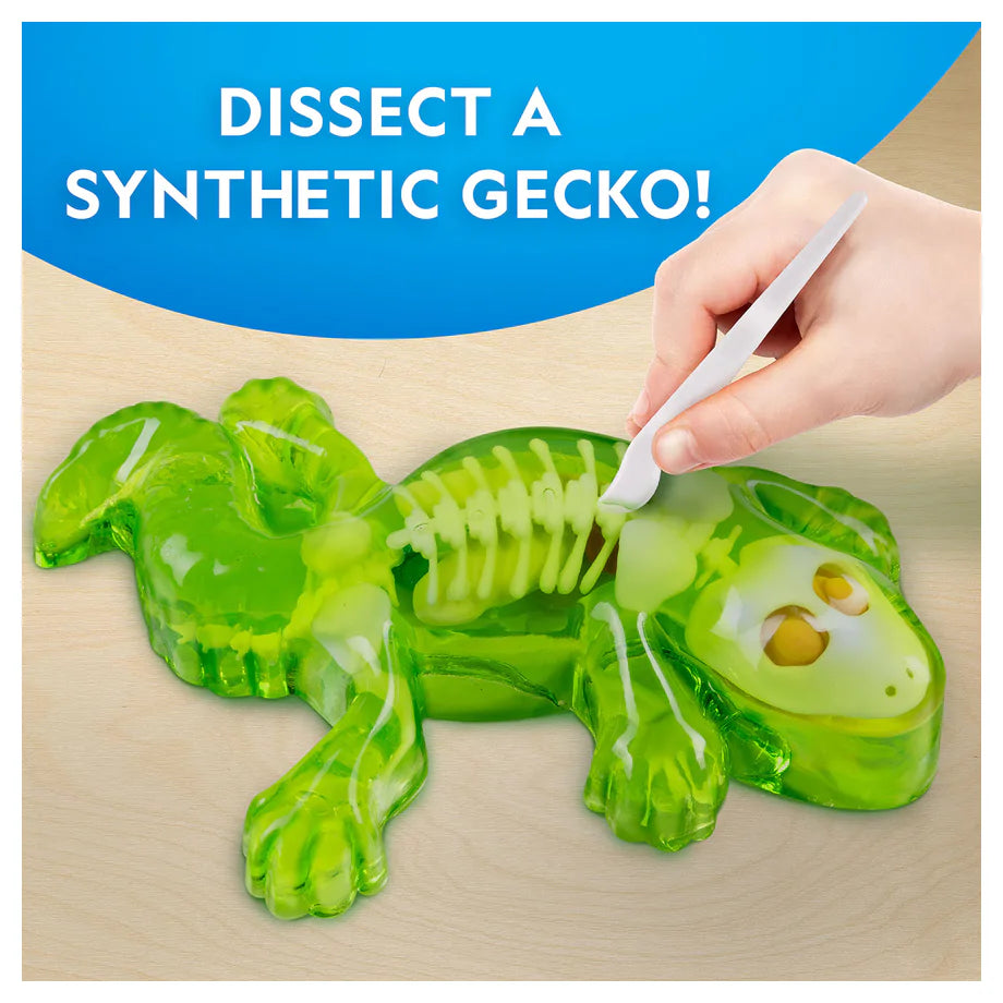 National Geographic Glow-In-The-Dark Gecko Dissection Lab