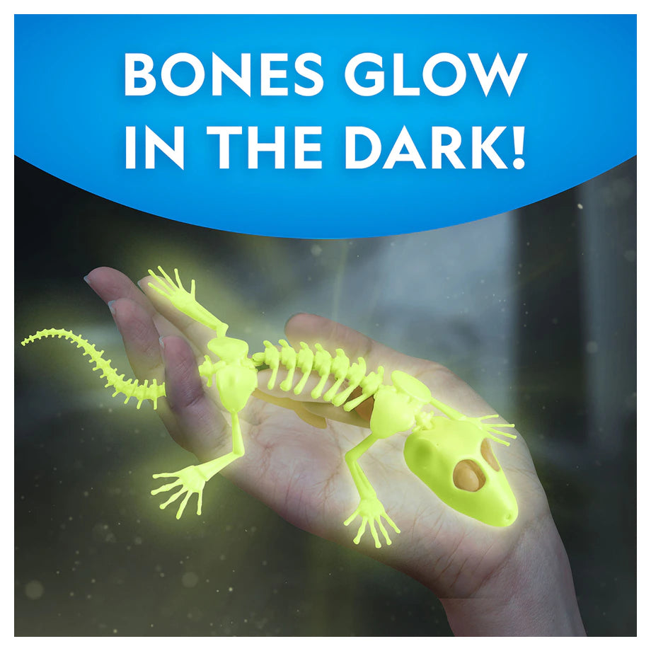 National Geographic Glow-In-The-Dark Gecko Dissection Lab