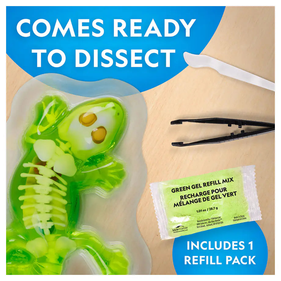 National Geographic Glow-In-The-Dark Gecko Dissection Lab