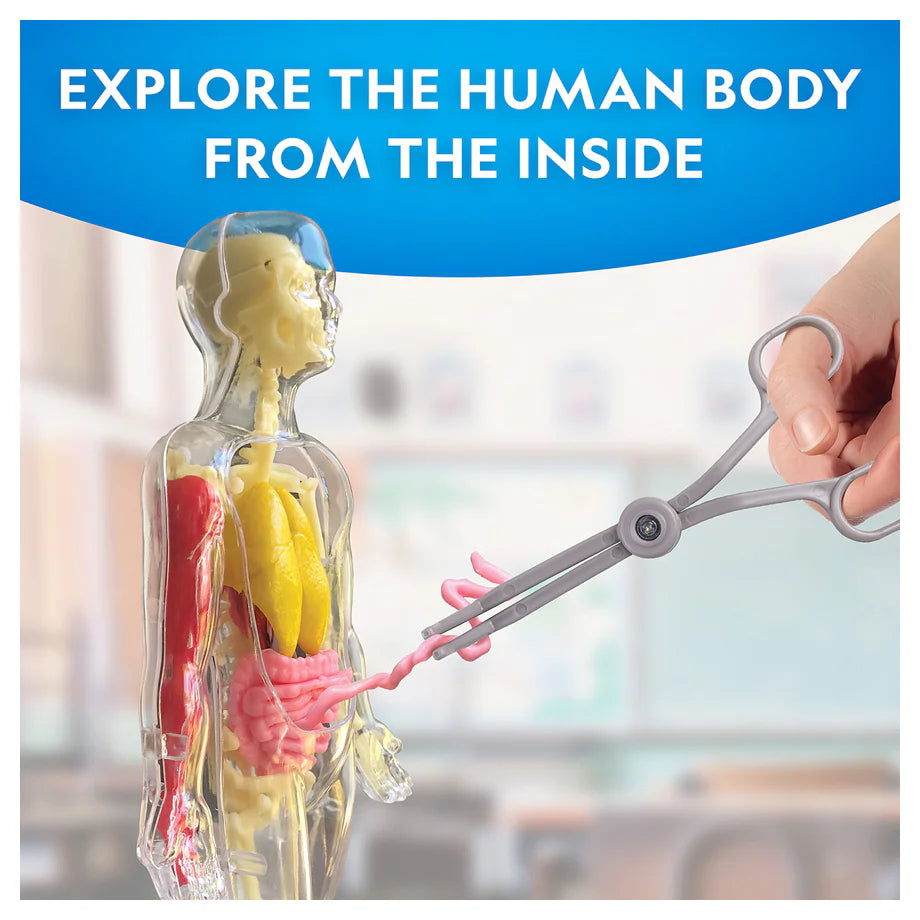 National Geographic Glow-In-The-Dark Human Body
