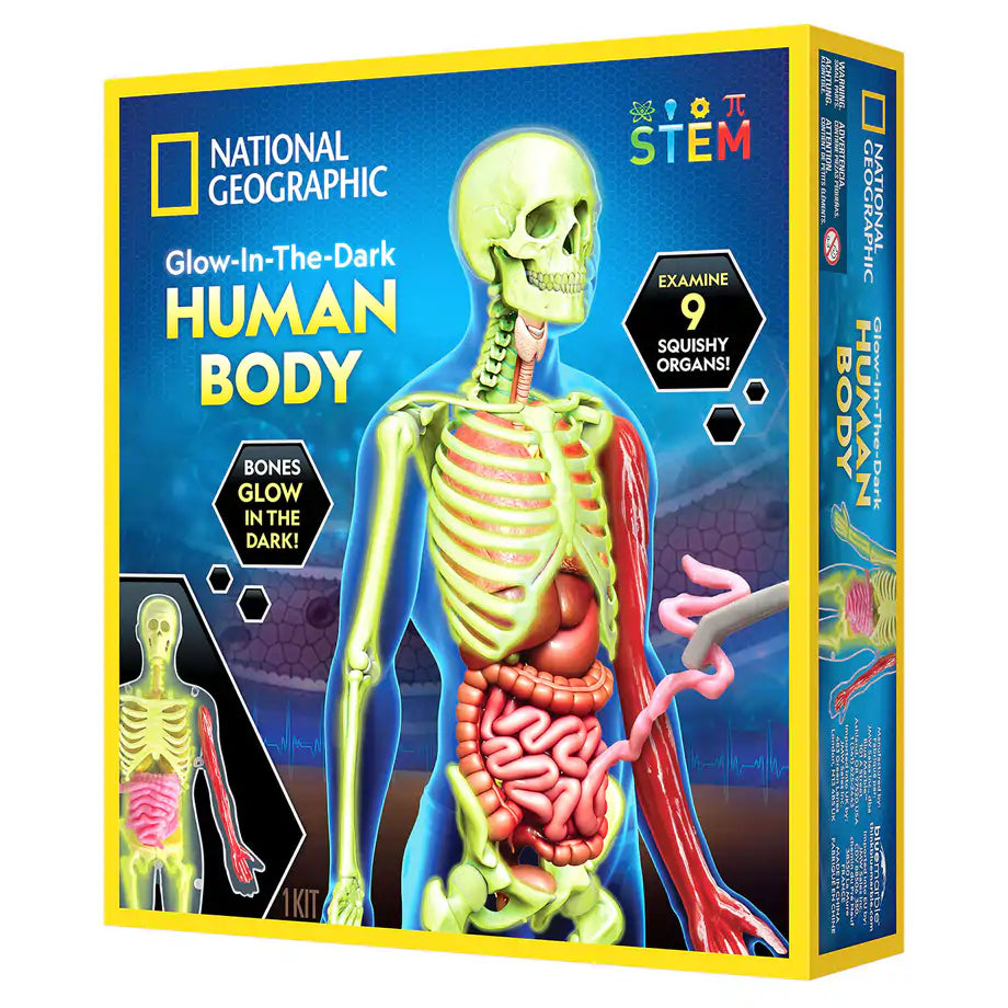 National Geographic Glow-In-The-Dark Human Body