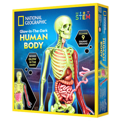 National Geographic Glow-In-The-Dark Human Body