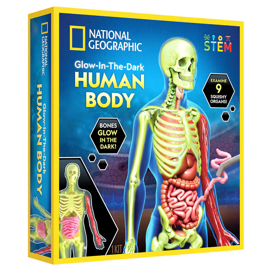 National Geographic Glow-In-The-Dark Human Body