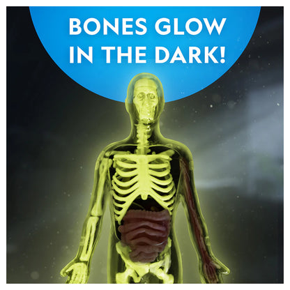 National Geographic Glow-In-The-Dark Human Body