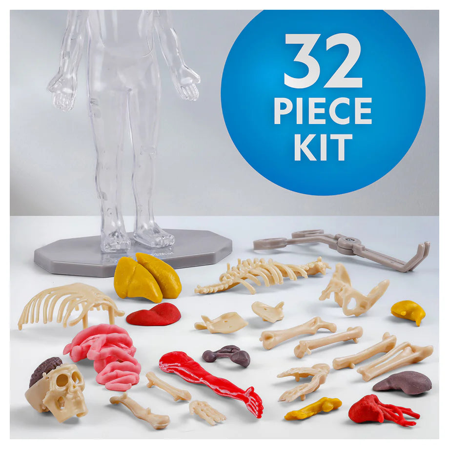 National Geographic Glow-In-The-Dark Human Body