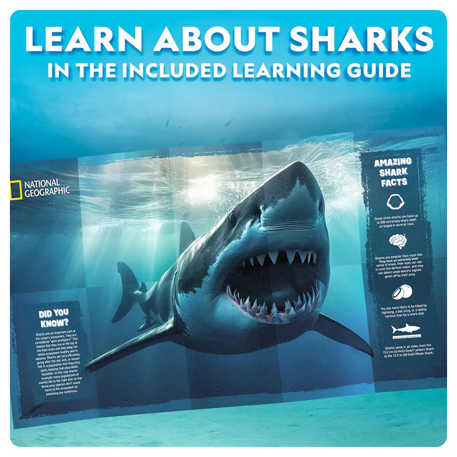 NG Motorized Shark Model