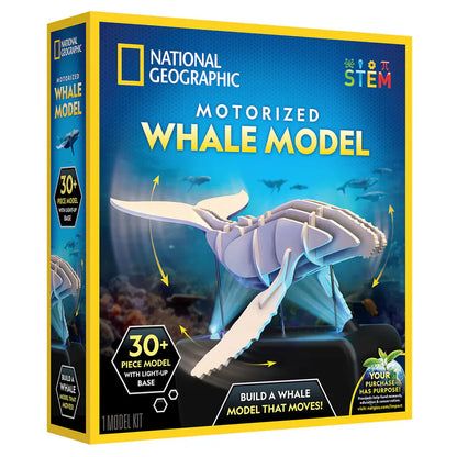 NG Motorized Whale Model