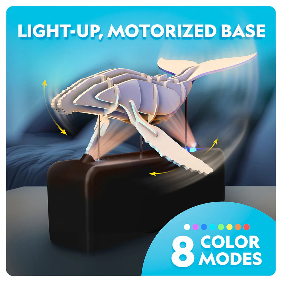 NG Motorized Whale Model