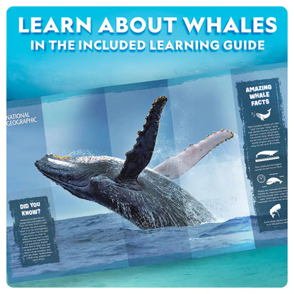 NG Motorized Whale Model