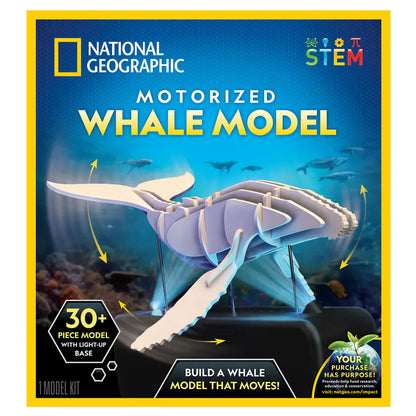 NG Motorized Whale Model
