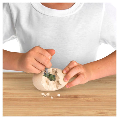 NG Dino Egg Dig Kit