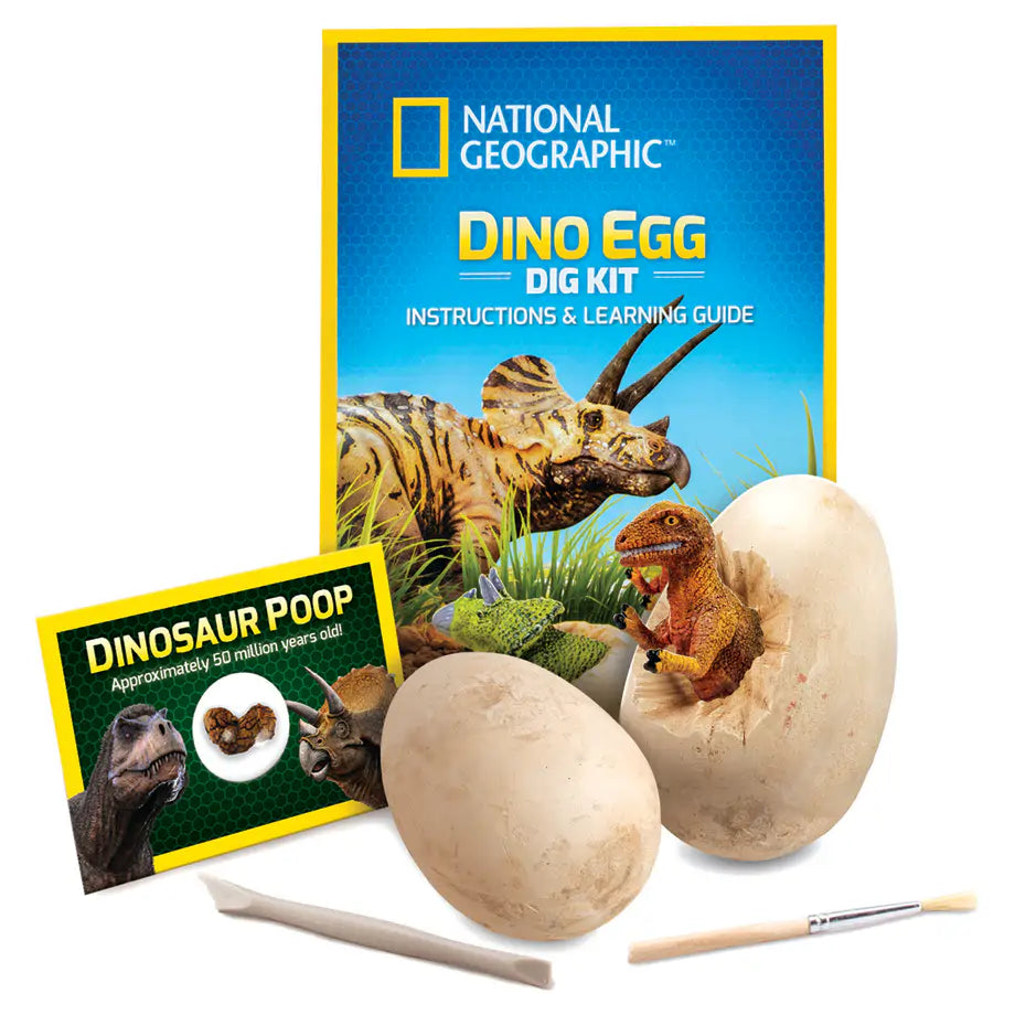 NG Dino Egg Dig Kit