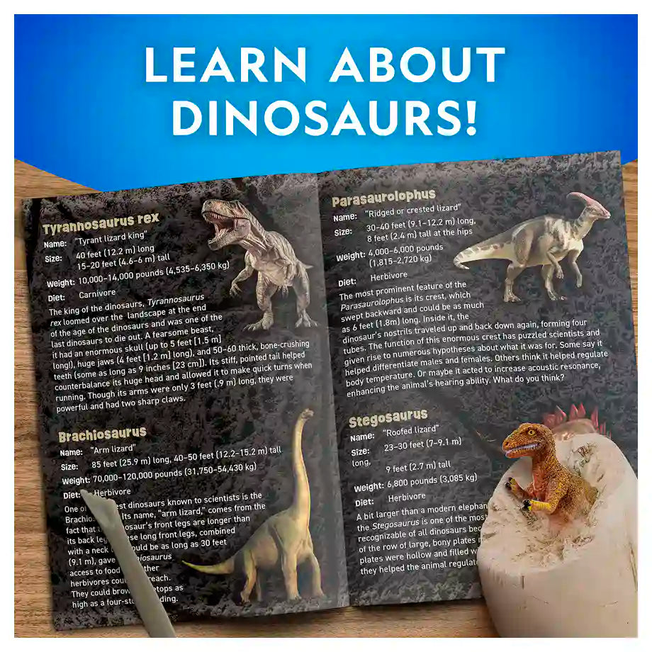 NG Dino Egg Dig Kit