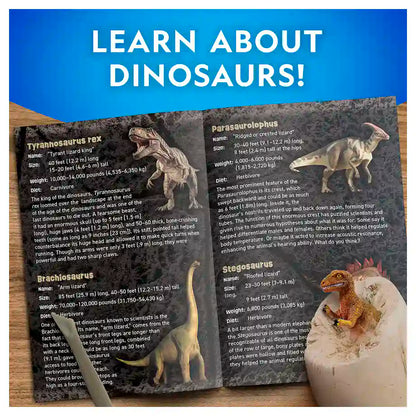 NG Dino Egg Dig Kit
