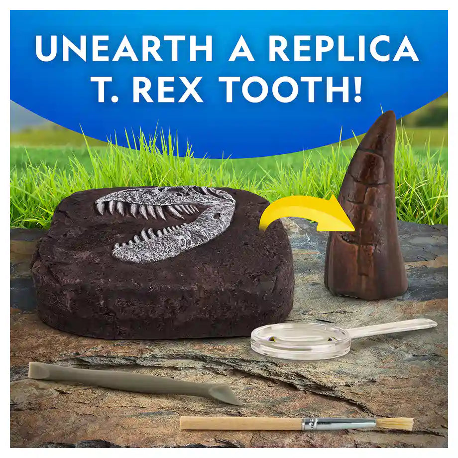 National Geographic Dino Fossil Dig Kit